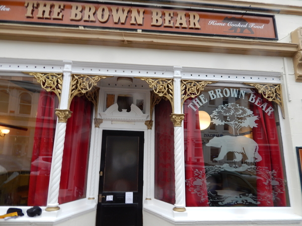 Brown Bear Berwick