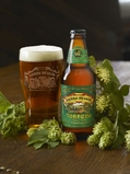 Sierra Nevada Torpedo