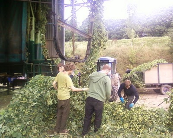 hop picking