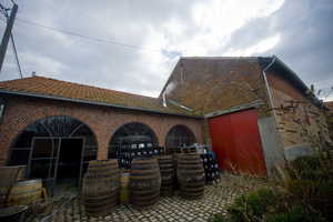 Flanders Beer Trail 1: chicory and whisky add flavour to farmhouse beer in Brabant