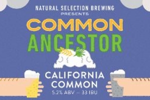 Beer students create California classic