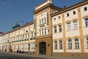 Czech brewer bought by Carling giant