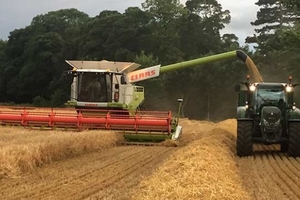 Carlsberg gets to the roots of barley