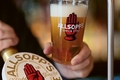 Allsopp: restoring a great Burton IPA